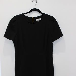 Calvin Klein Sheath Dress